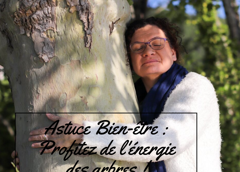 Astuce Bien-être #4 : Profiter de l’énergie des arbres