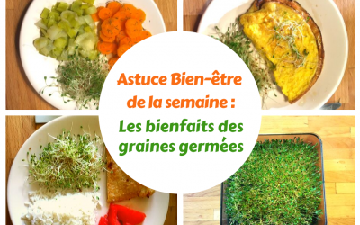 Astuce Bien-être #5 : Les bienfaits des graines germées