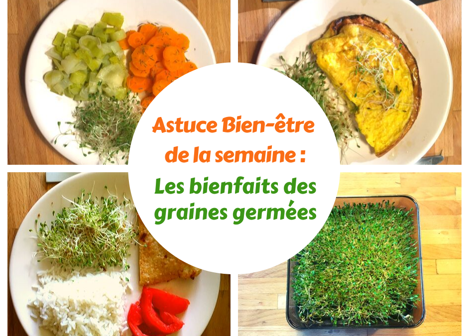 Astuce Bien-être #5 : Les bienfaits des graines germées