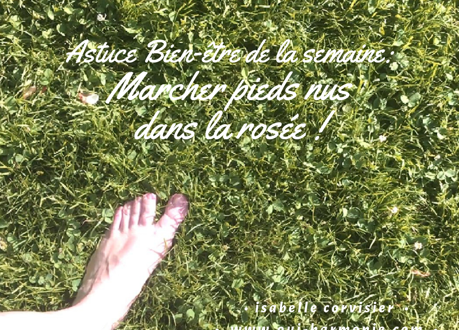 Astuce Bien-être #1 : Marcher pieds nus dans la rosée